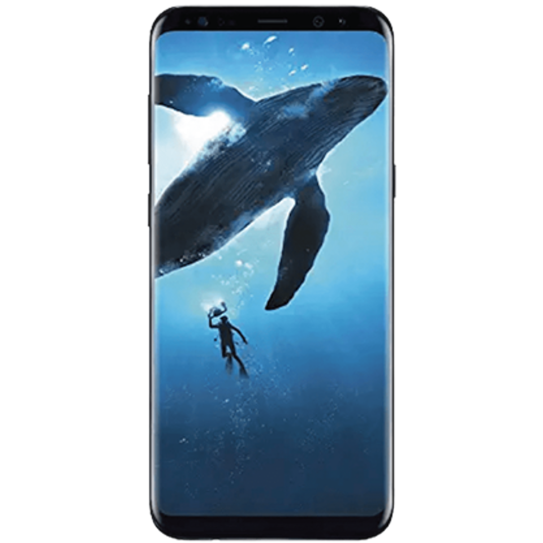 Galaxy S8 repair guides