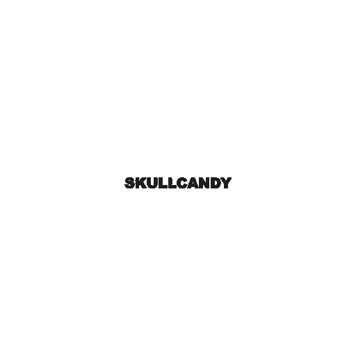 Skullcandy Hesh Standard repair guides